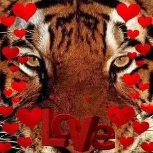 Meet your Posher, Bettina